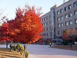 https://upload.wikimedia.org/wikipedia/commons/thumb/0/06/Sungkyunkwan_University_Suwon_Engineering_Building_2_Trees_1.JPG/250px-Sungkyunkwan_University_Suwon_Engineering_Building_2_Trees_1.JPG