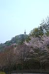 https://upload.wikimedia.org/wikipedia/commons/thumb/7/73/Metal_tower_at_Bomunsan_in_Daejeon.jpg/100px-Metal_tower_at_Bomunsan_in_Daejeon.jpg