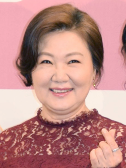 https://upload.wikimedia.org/wikipedia/commons/thumb/c/c7/Kim_Hae-sook_in_March_2019.png/250px-Kim_Hae-sook_in_March_2019.png
